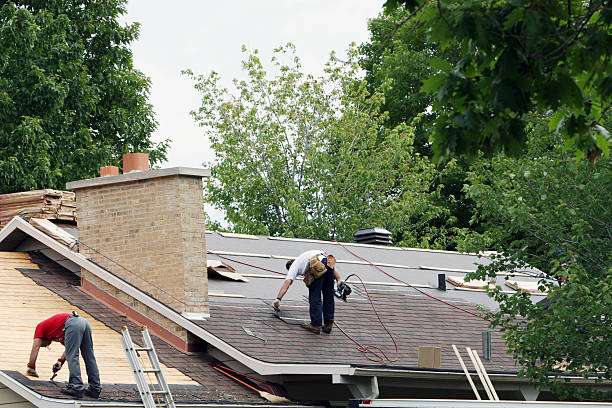 Best Roof Maintenance Services  in Arcadia, WI