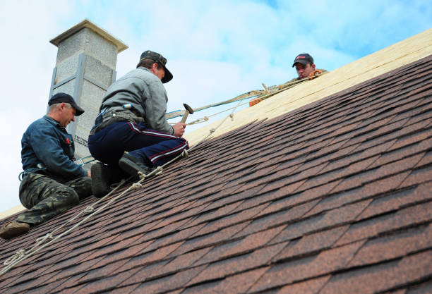 Best Local Roofing Companies  in Arcadia, WI